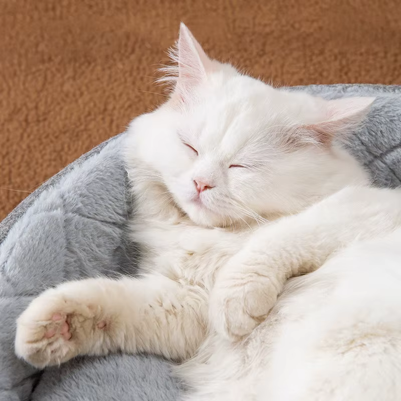 Cozy Enclosed Cat Cave Bed